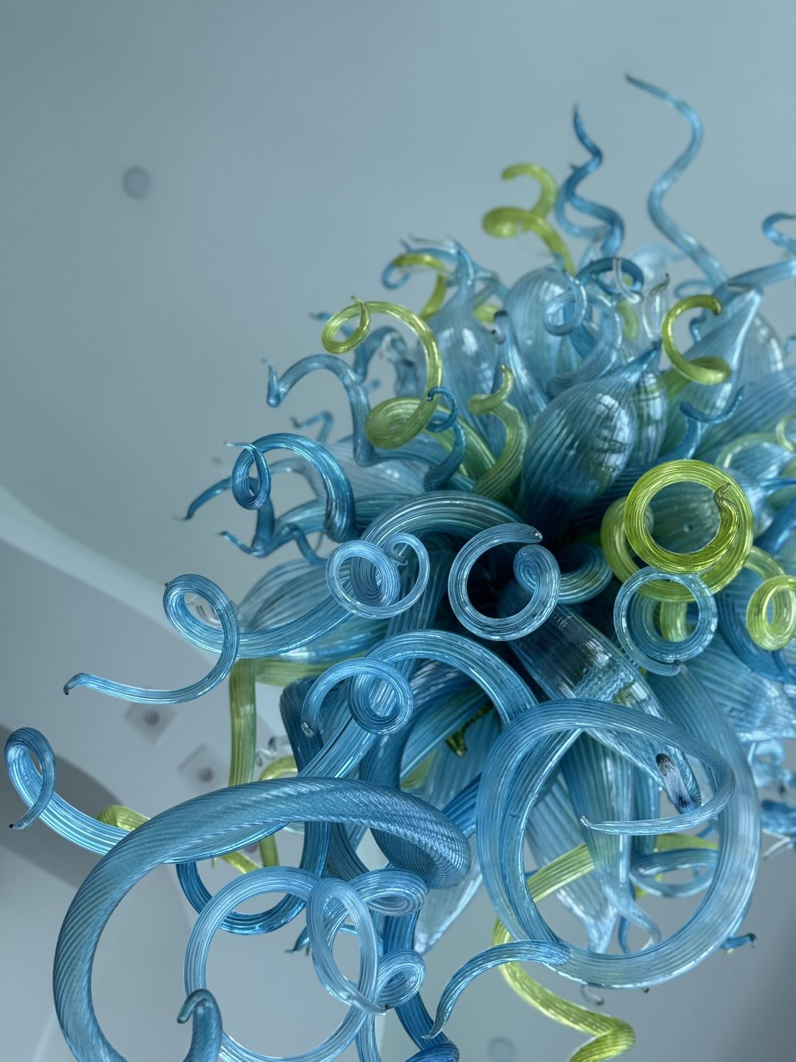 Glass tendril detail