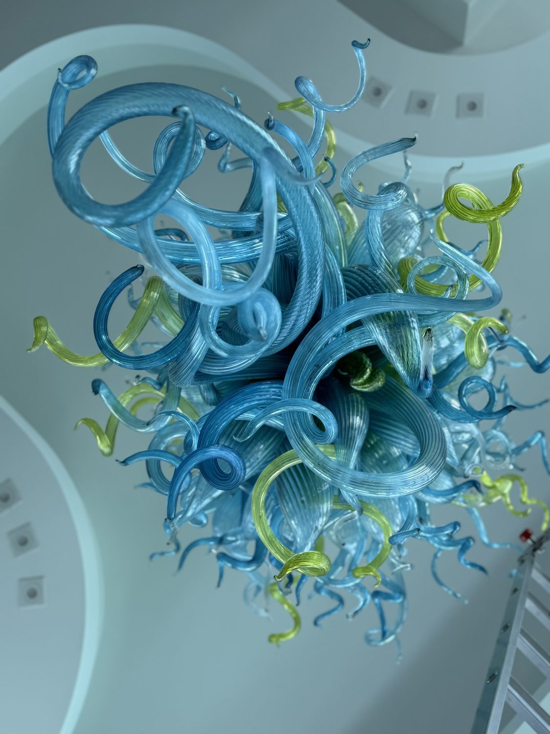 Tendrils from above